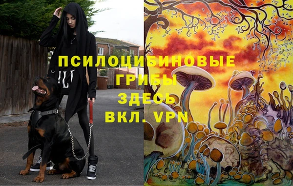 таблы Володарск