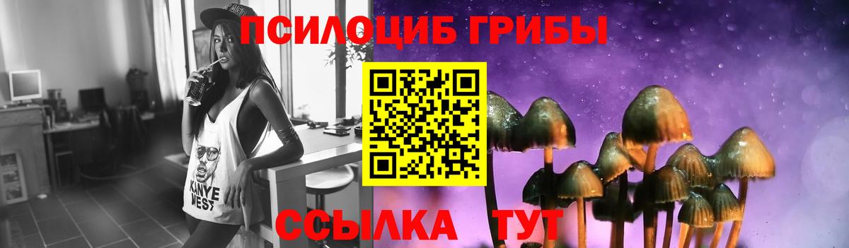 Псилоцибиновые грибы Cubensis  Вход с VPN  Назарово  Псилоцибиновые грибы Psilocybine cubensis 
